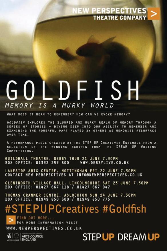 New Perspectives Goldfish poster
